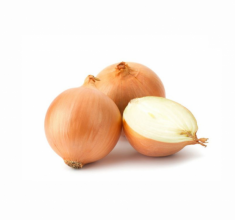 Цибуля біла